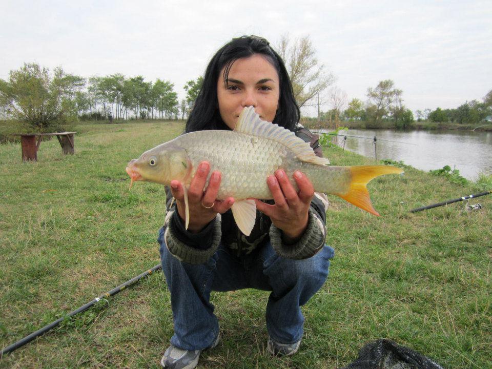 2012-2013 - 3189504377502908448831184159n1.jpg